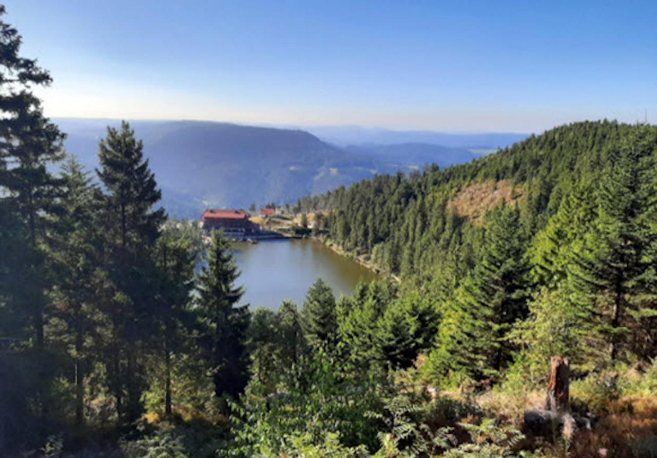Fuchsbau Lägenhet Baiersbronn Exteriör bild